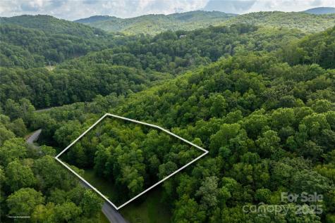 Tbd Lot 106 Firethorn Trail Blowing Rock NC 28605