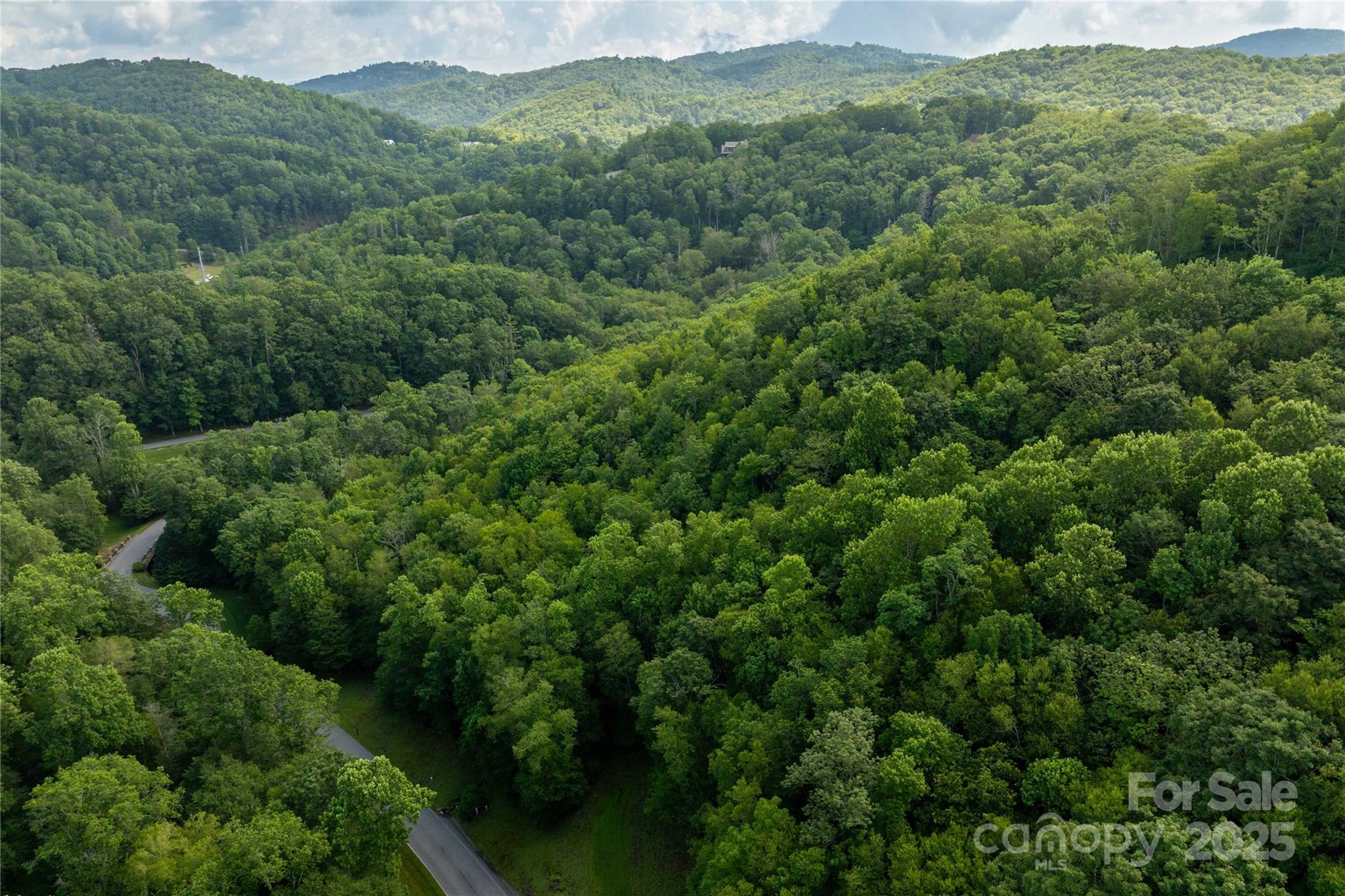 Tbd Lot 106 Firethorn Trail Blowing Rock NC 28605