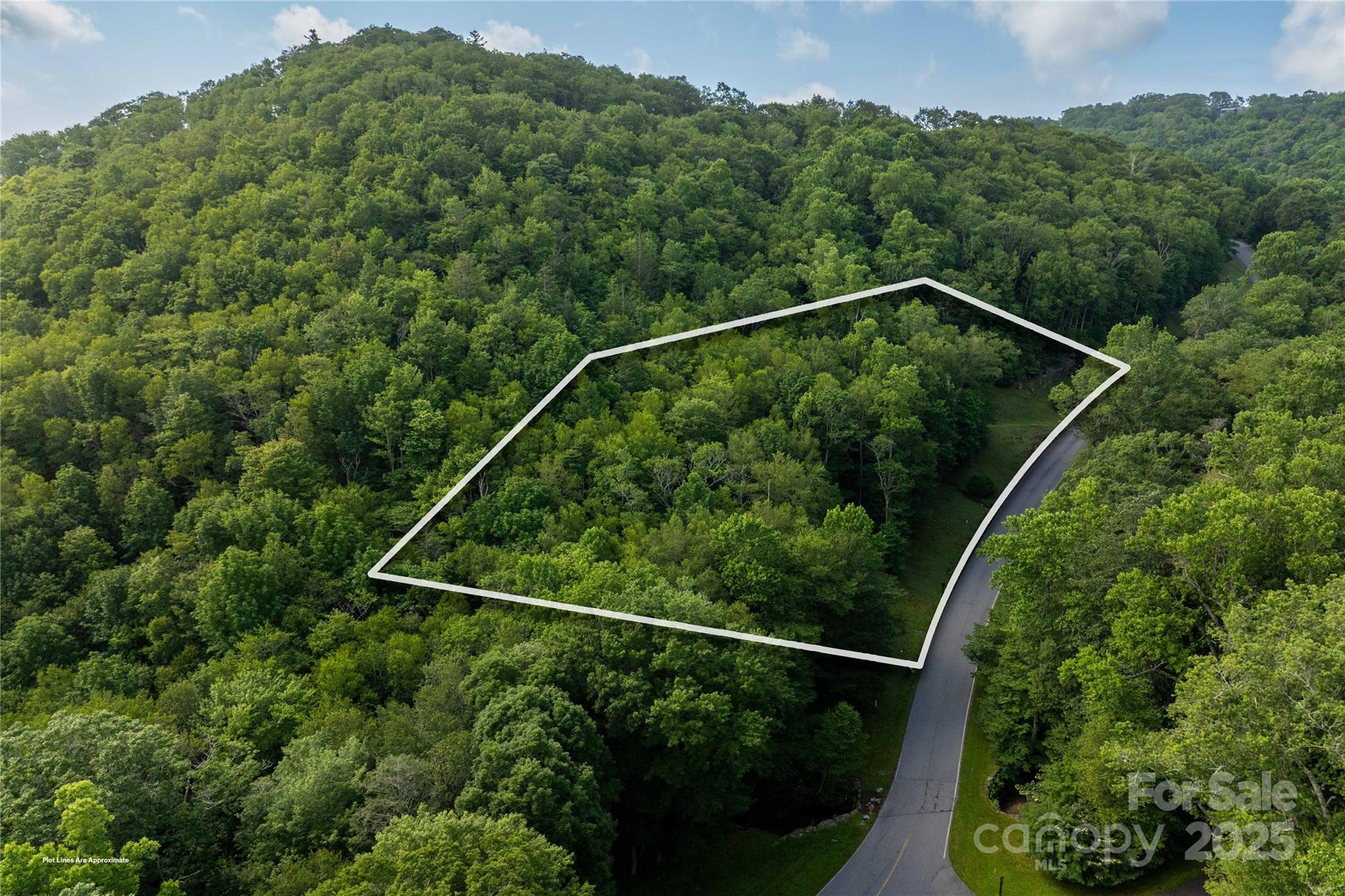 Tbd Lot 106 Firethorn Trail Blowing Rock NC 28605
