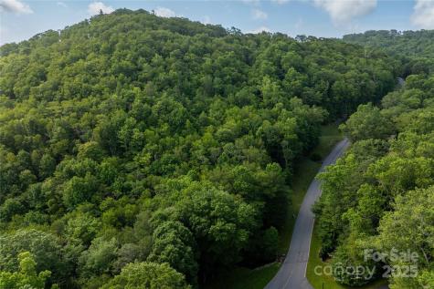 Tbd Lot 106 Firethorn Trail Blowing Rock NC 28605