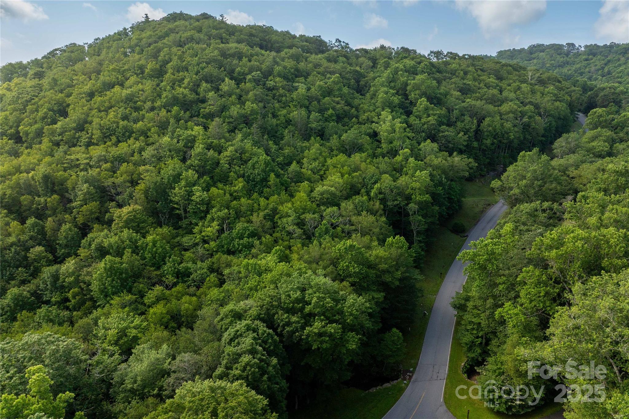 Tbd Lot 106 Firethorn Trail Blowing Rock NC 28605