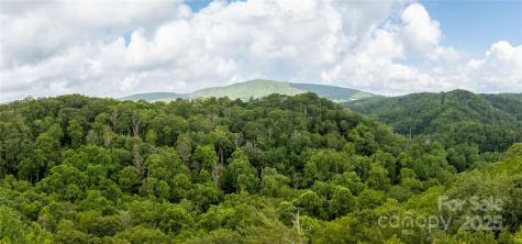 Tbd Lot 106 Firethorn Trail Blowing Rock NC 28605