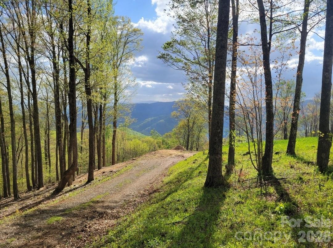 Tbd Nicholas Knoll Road Bakersville NC 28705