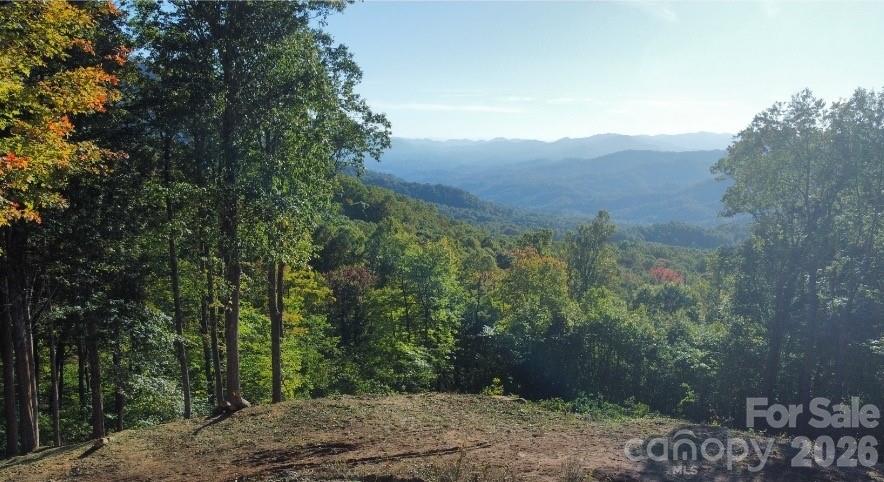 Tbd Nicholas Knoll Road Bakersville NC 28705