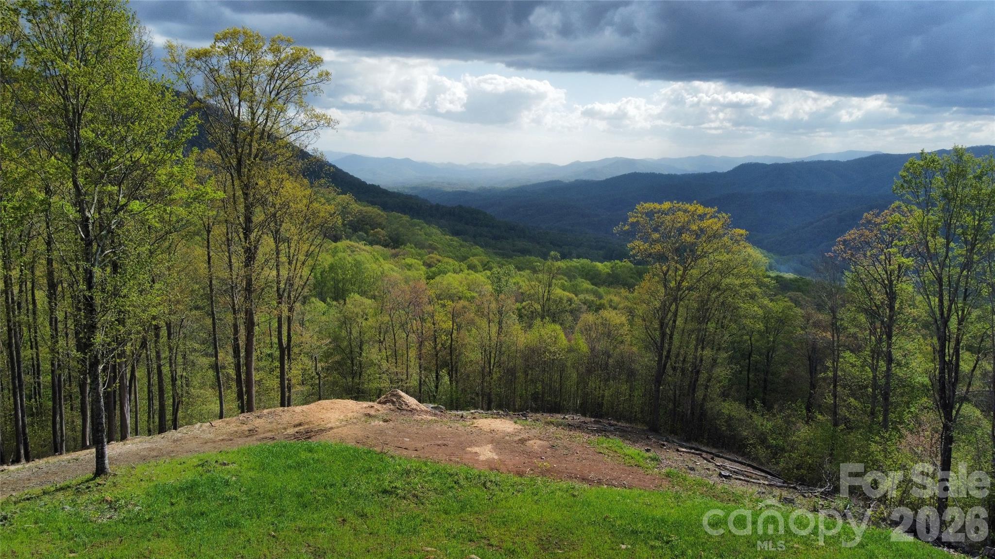 Tbd Nicholas Knoll Road Bakersville NC 28705