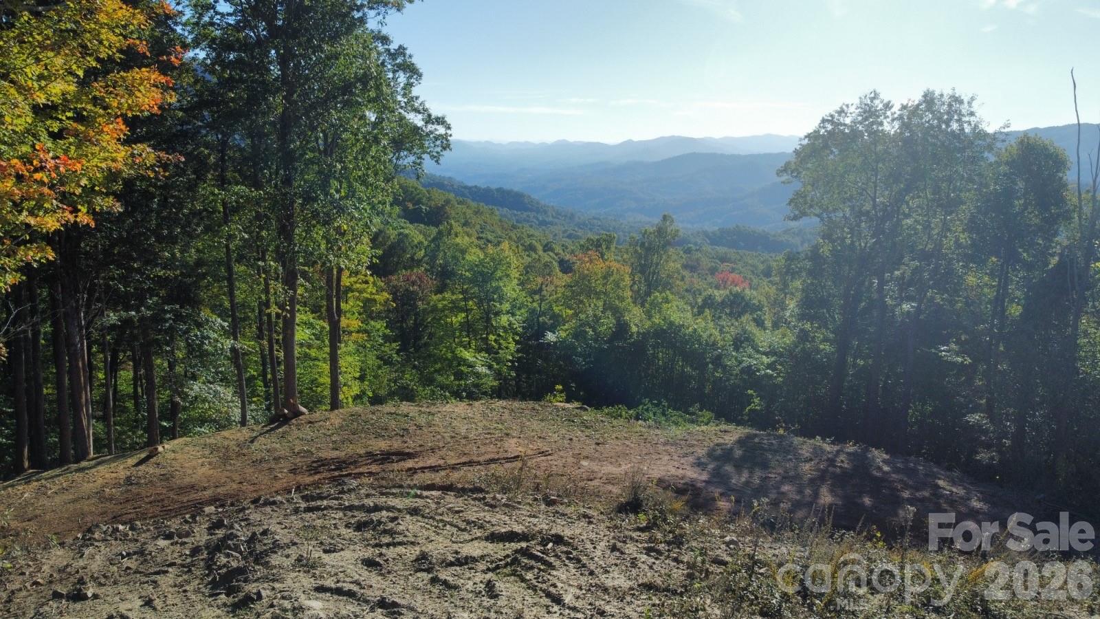 Tbd Nicholas Knoll Road Bakersville NC 28705