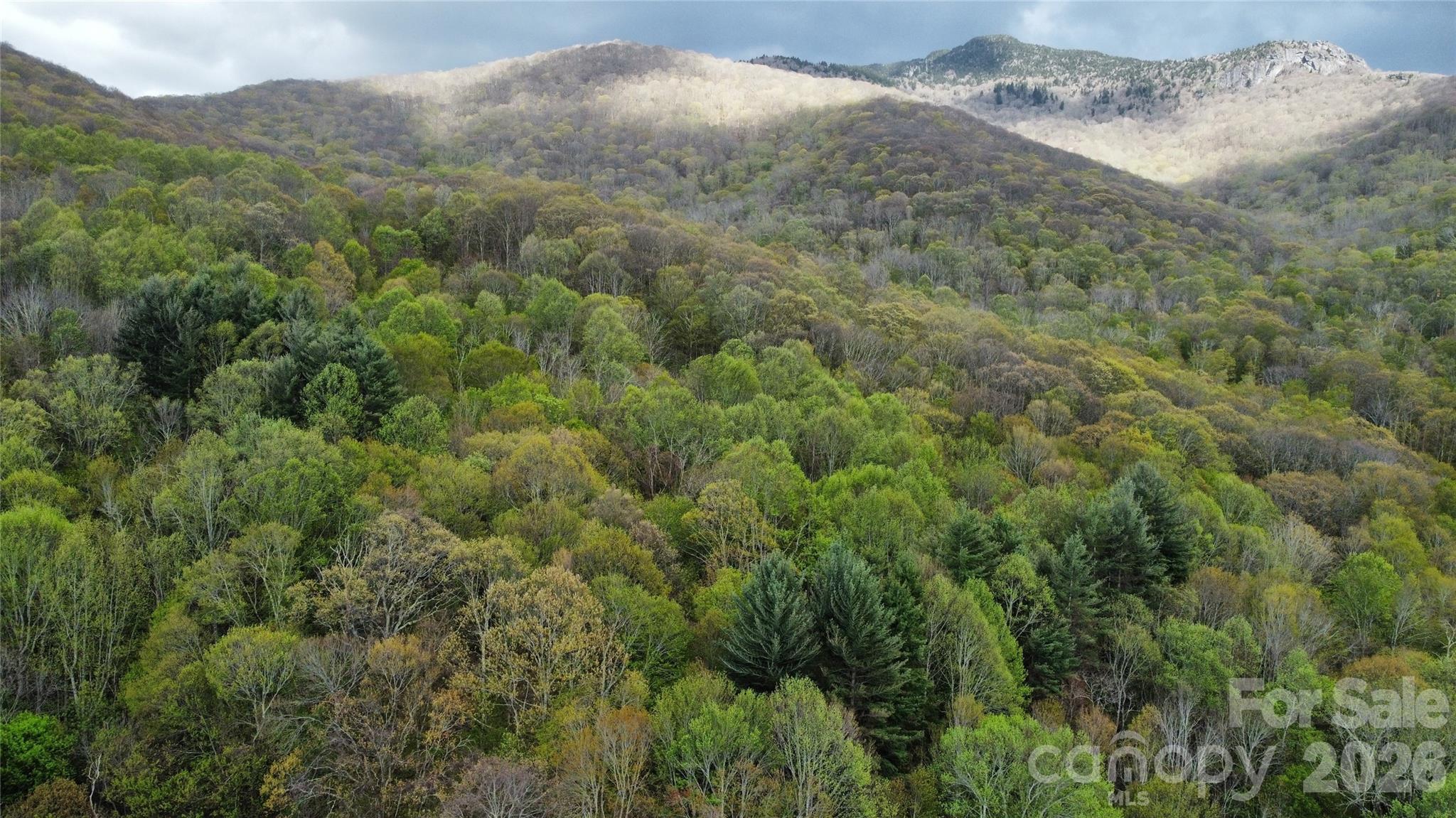 Tbd Nicholas Knoll Road Bakersville NC 28705