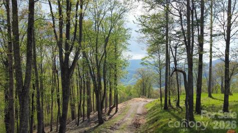 Tbd Nicholas Knoll Road Bakersville NC 28705