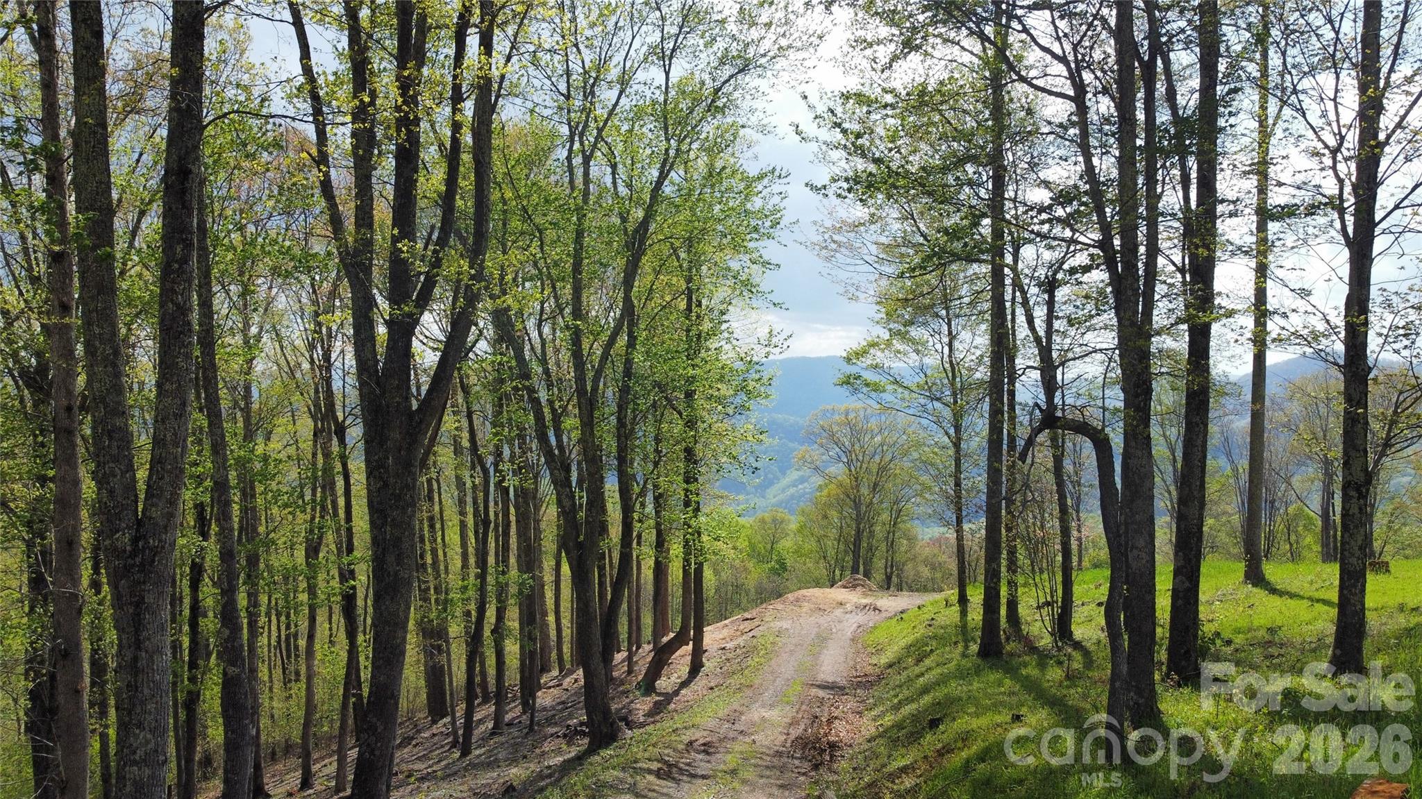 Tbd Nicholas Knoll Road Bakersville NC 28705