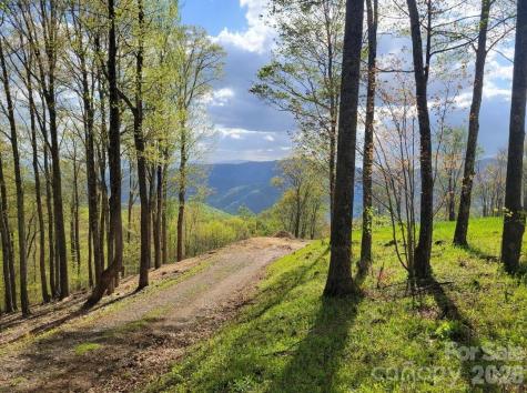 Tbd Nicholas Knoll Road Bakersville NC 28705