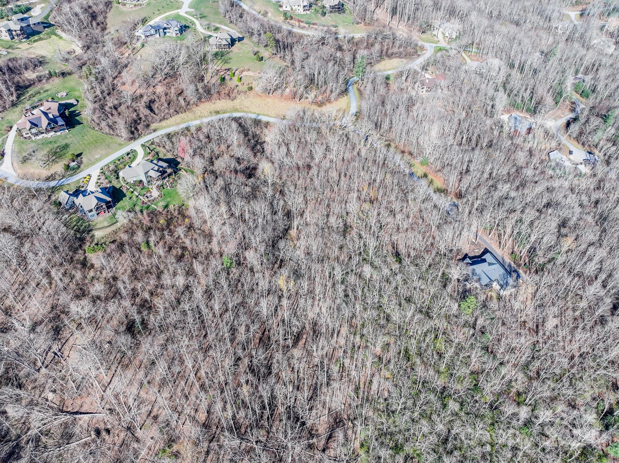 99999 Dancing Bear Drive Hendersonville NC 28792