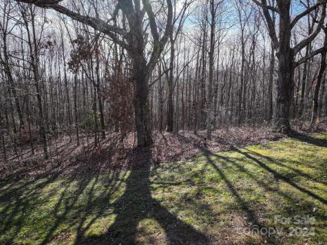 99999 Dancing Bear Drive Hendersonville NC 28792