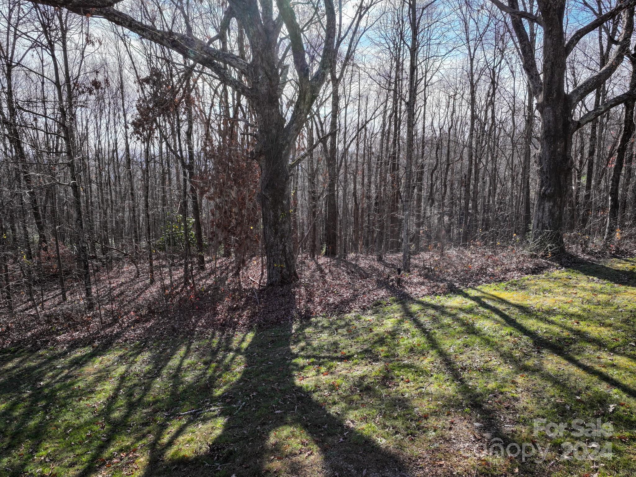99999 Dancing Bear Drive Hendersonville NC 28792