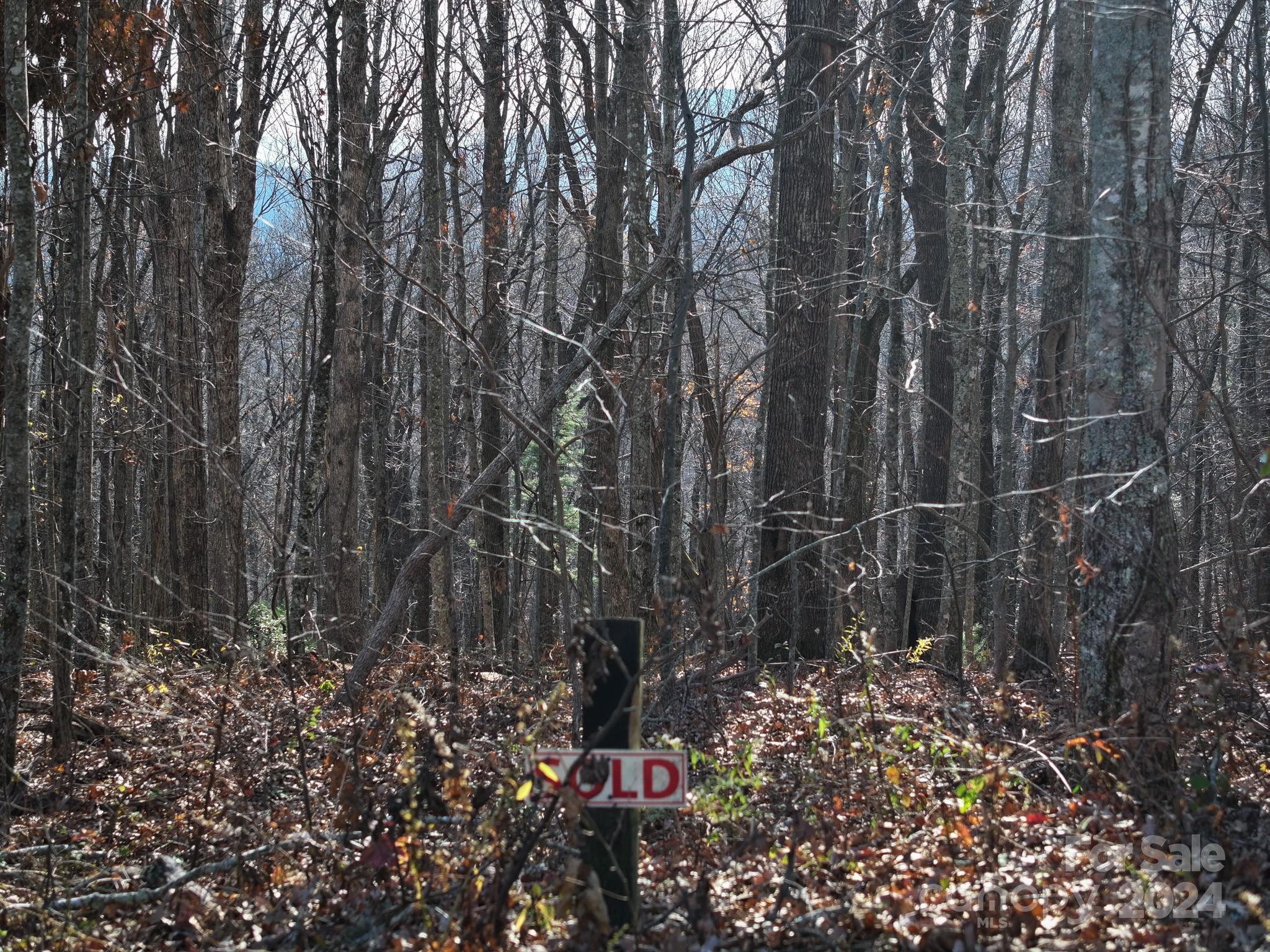 99999 Dancing Bear Drive Hendersonville NC 28792