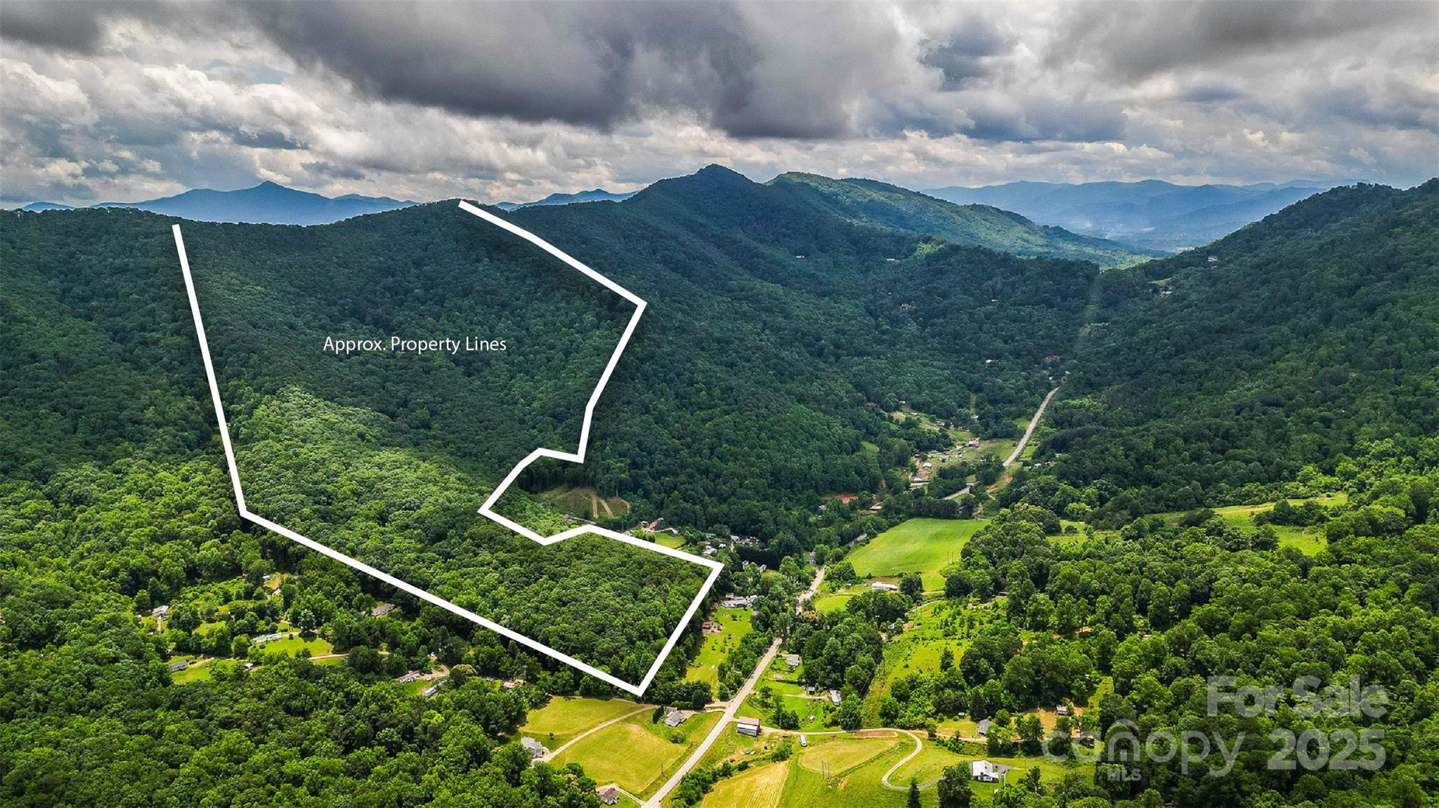 99999 Dark Cove Road Leicester NC 28748