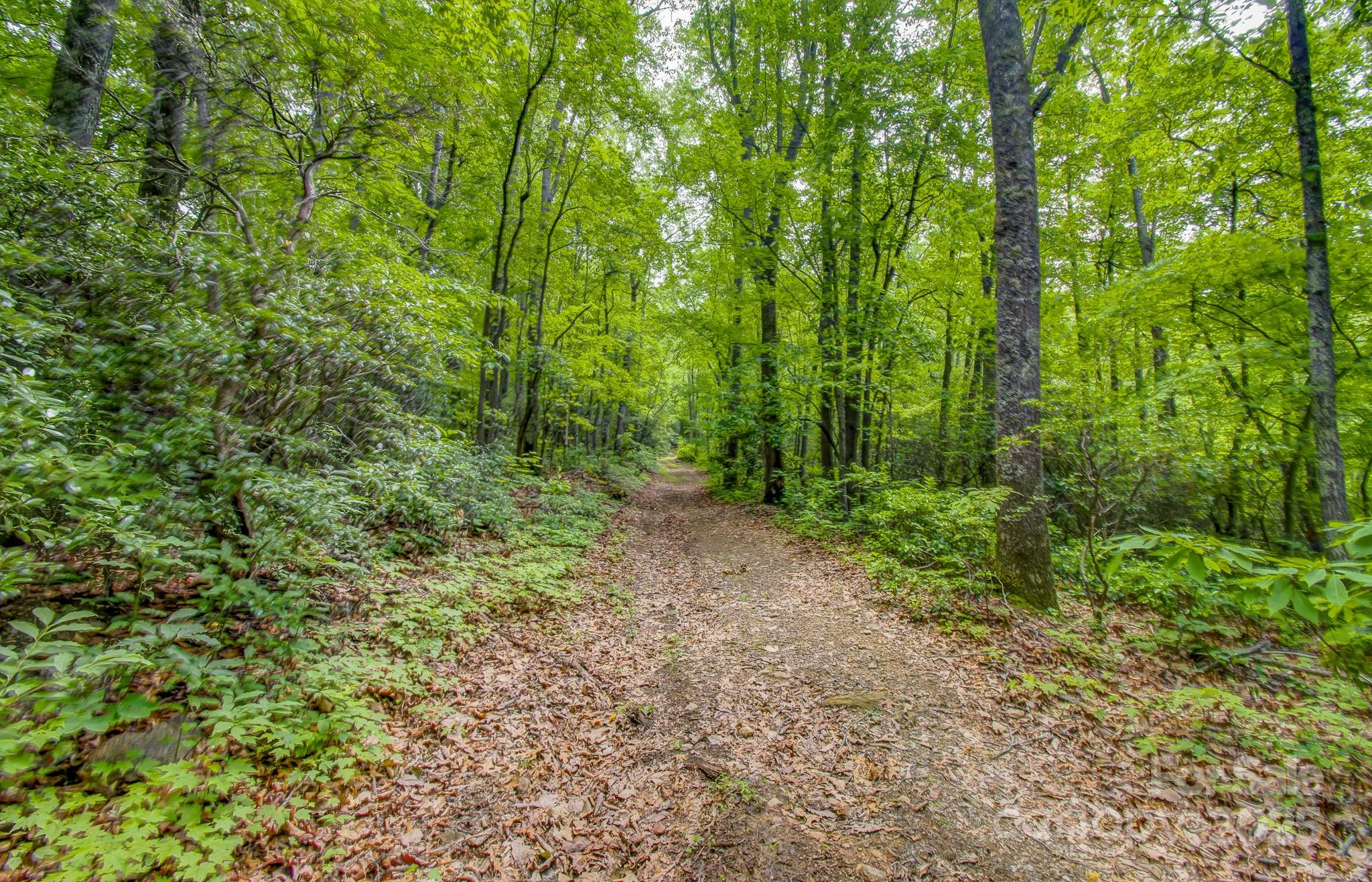 99999 Dark Cove Road Leicester NC 28748
