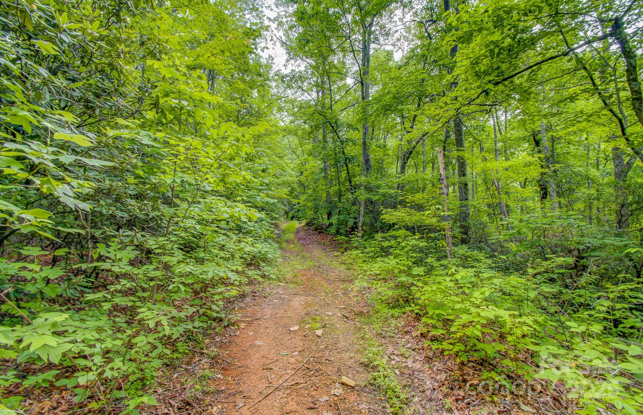 99999 Dark Cove Road Leicester NC 28748