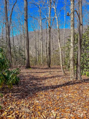 99999 Dark Cove Road Leicester NC 28748