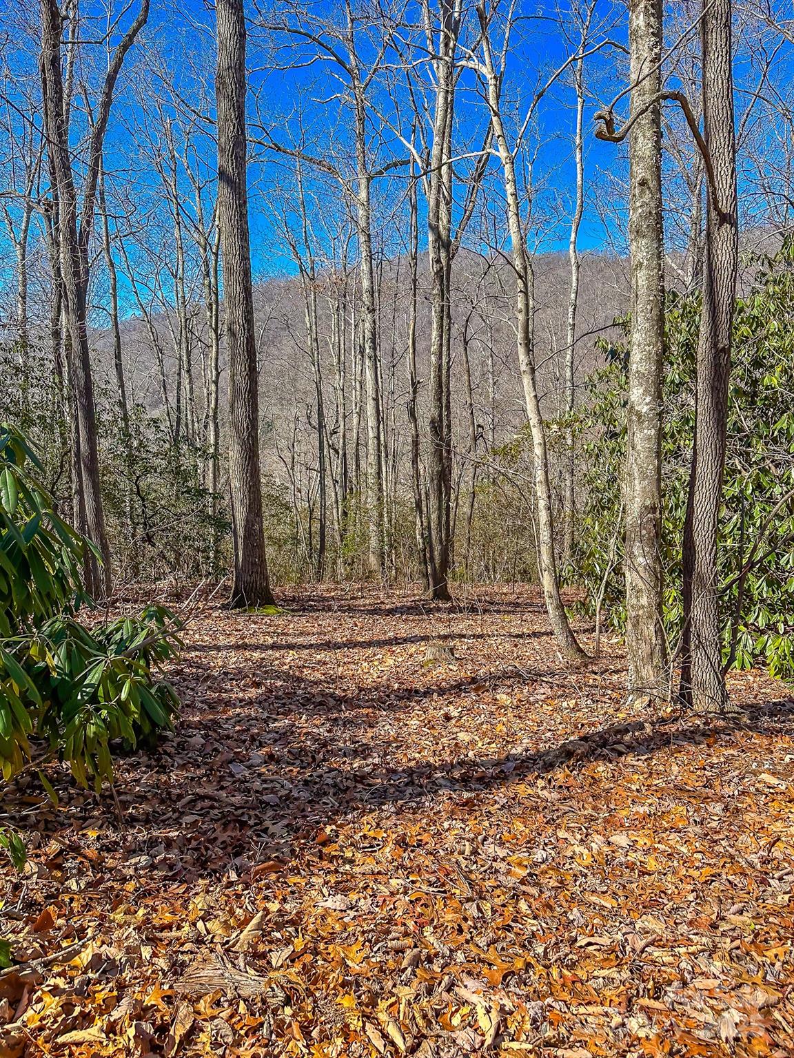 99999 Dark Cove Road Leicester NC 28748