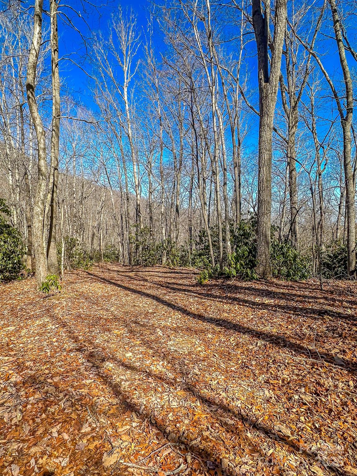 99999 Dark Cove Road Leicester NC 28748