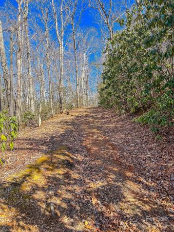 99999 Dark Cove Road Leicester NC 28748