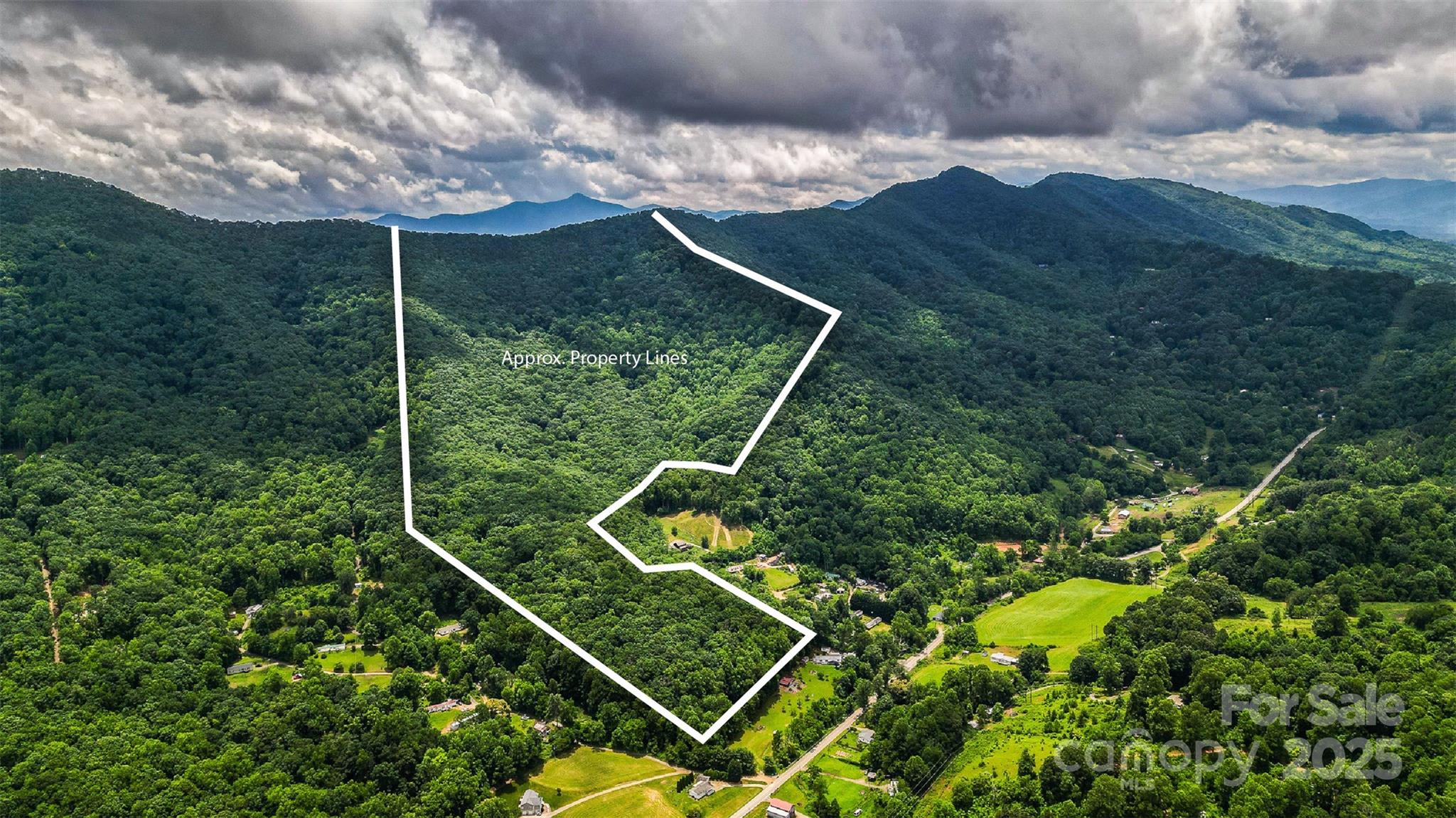 99999 Dark Cove Road Leicester NC 28748