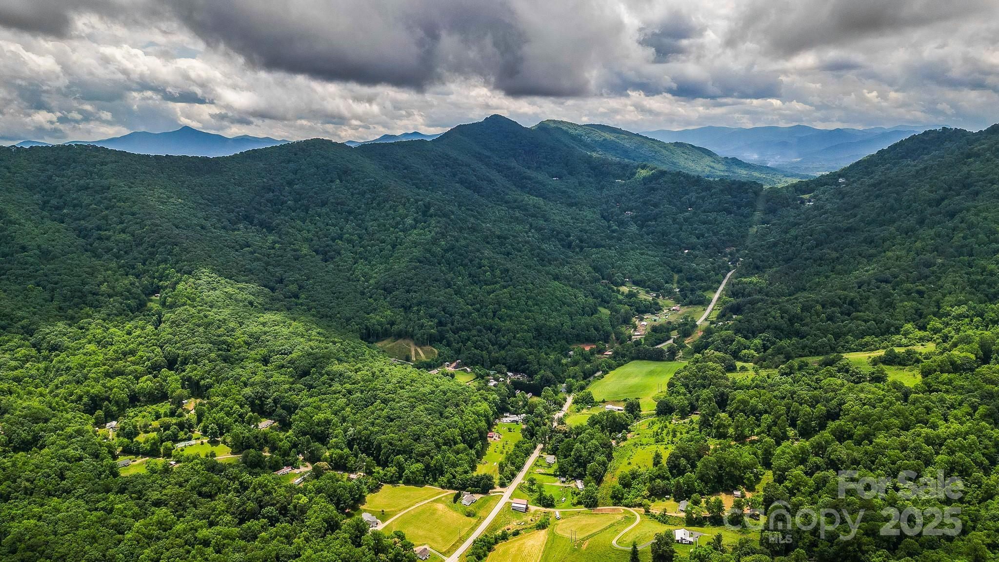 99999 Dark Cove Road Leicester NC 28748