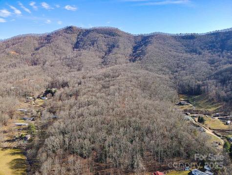 99999 Dark Cove Road Leicester NC 28748