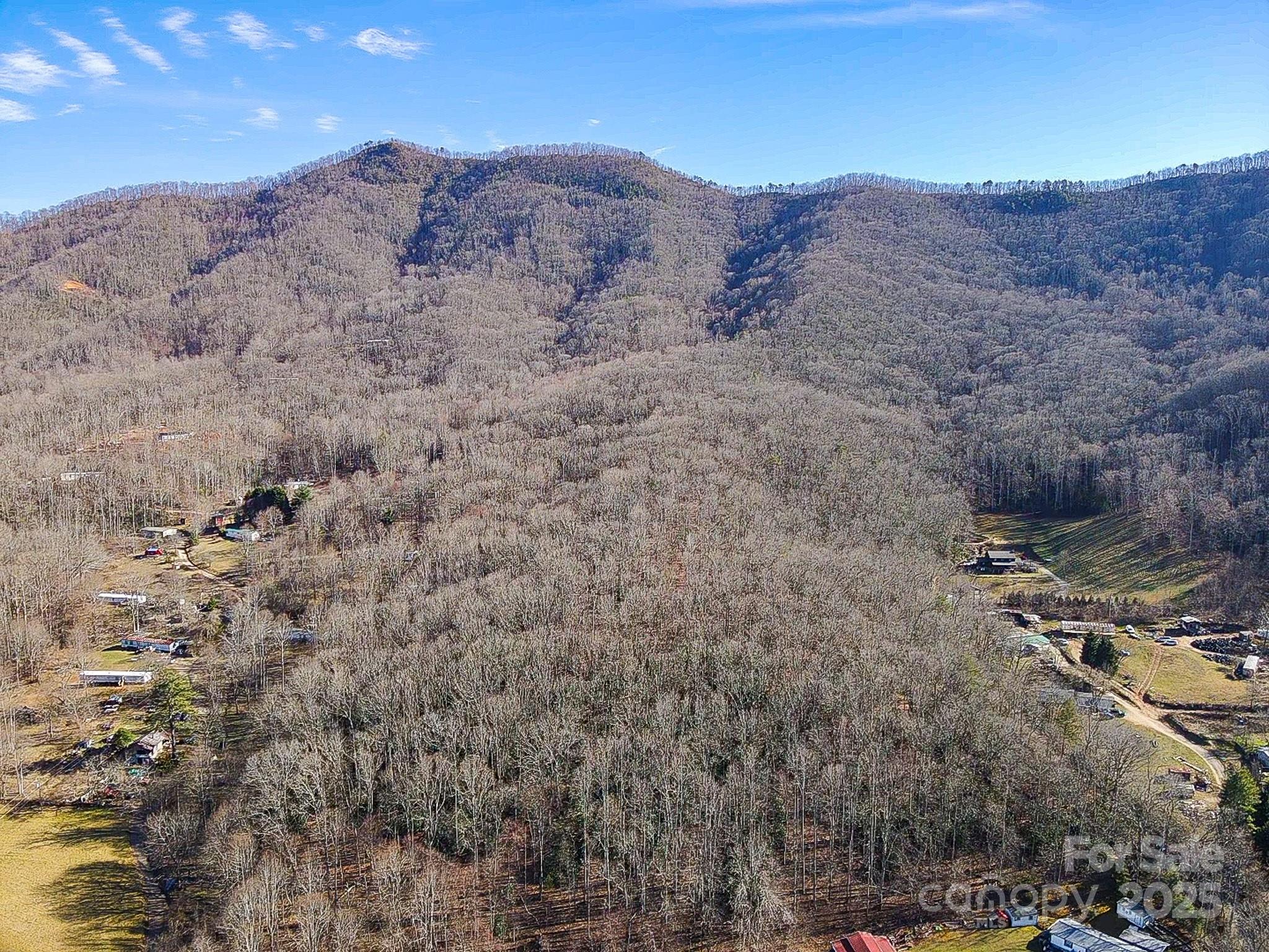 99999 Dark Cove Road Leicester NC 28748