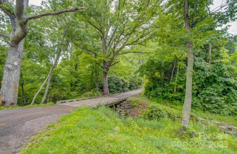 99999 Dark Cove Road Leicester NC 28748