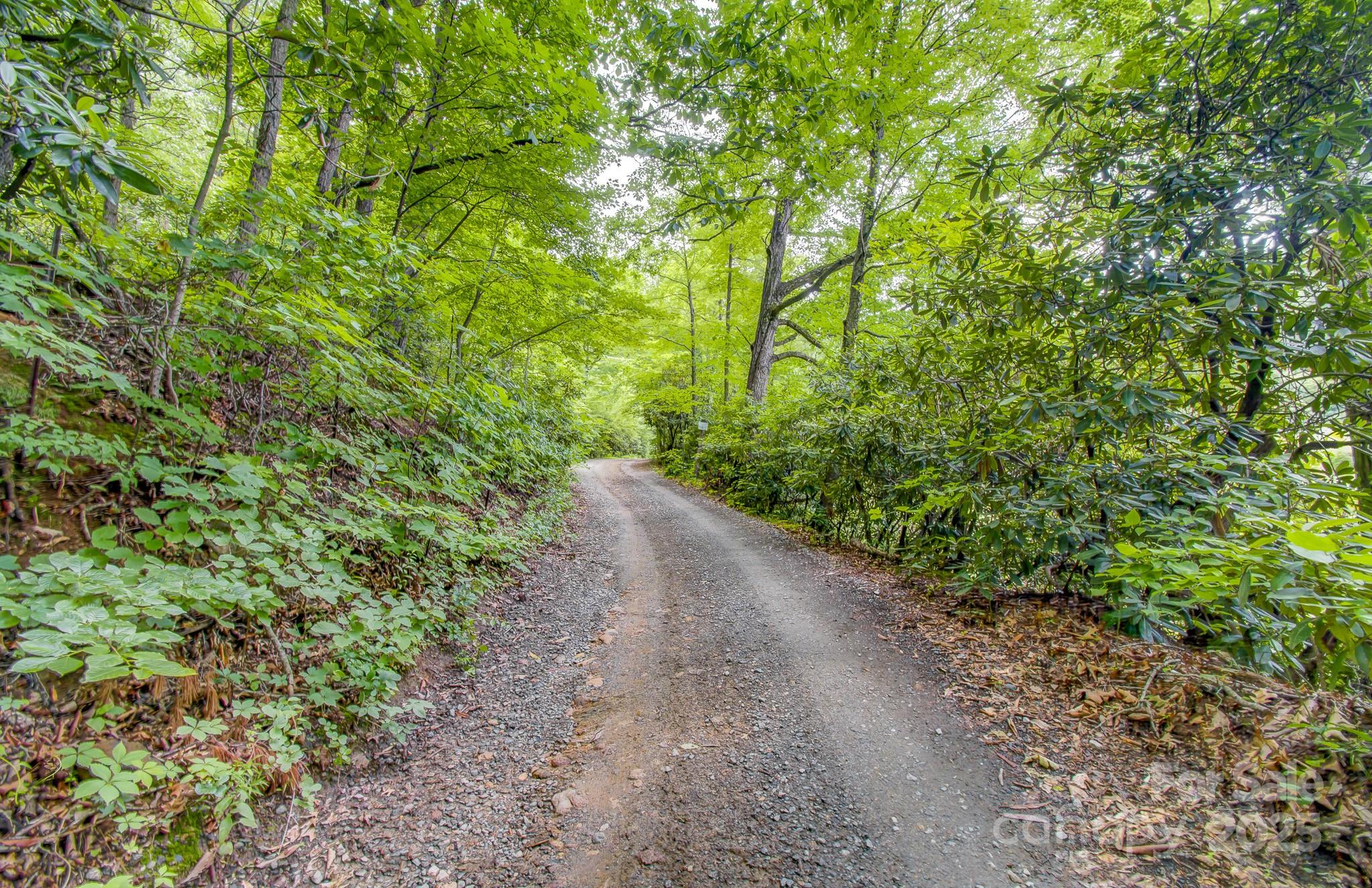99999 Dark Cove Road Leicester NC 28748