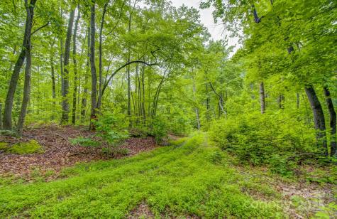 99999 Dark Cove Road Leicester NC 28748