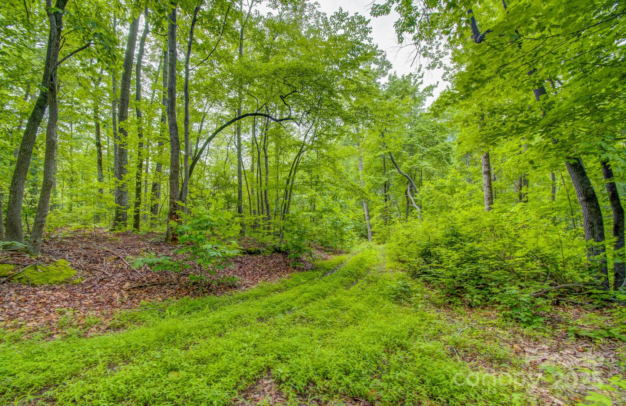 99999 Dark Cove Road Leicester NC 28748