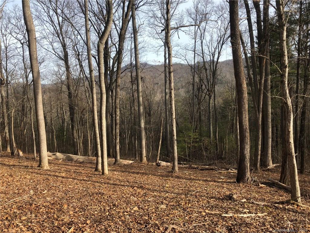 30 Hickory Top Lane Asheville NC 28805