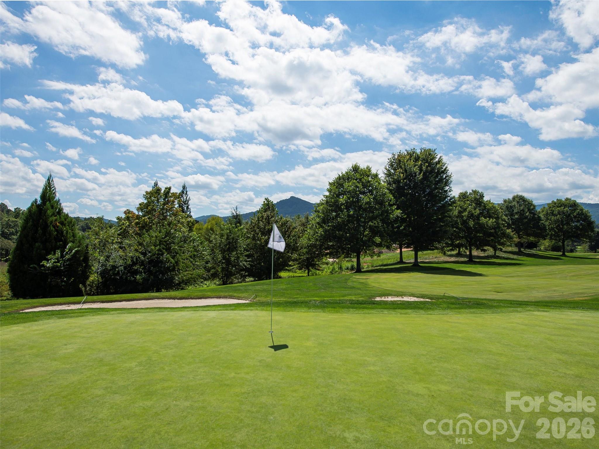74 Walnut Valley Parkway Arden NC 28704