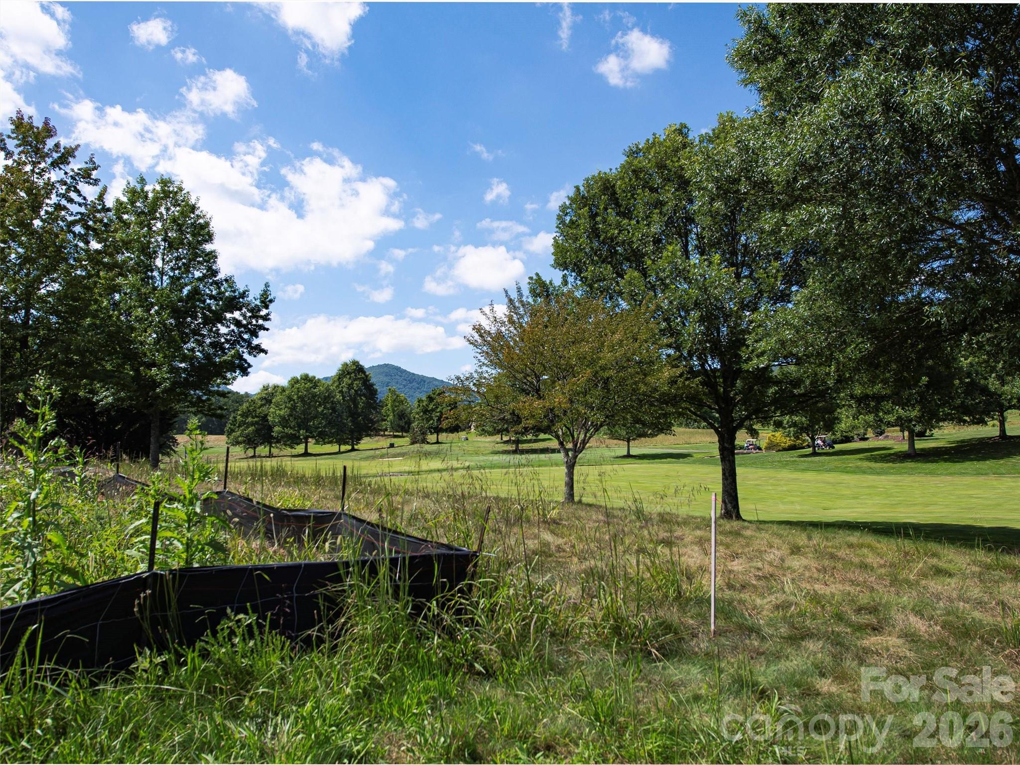 74 Walnut Valley Parkway Arden NC 28704