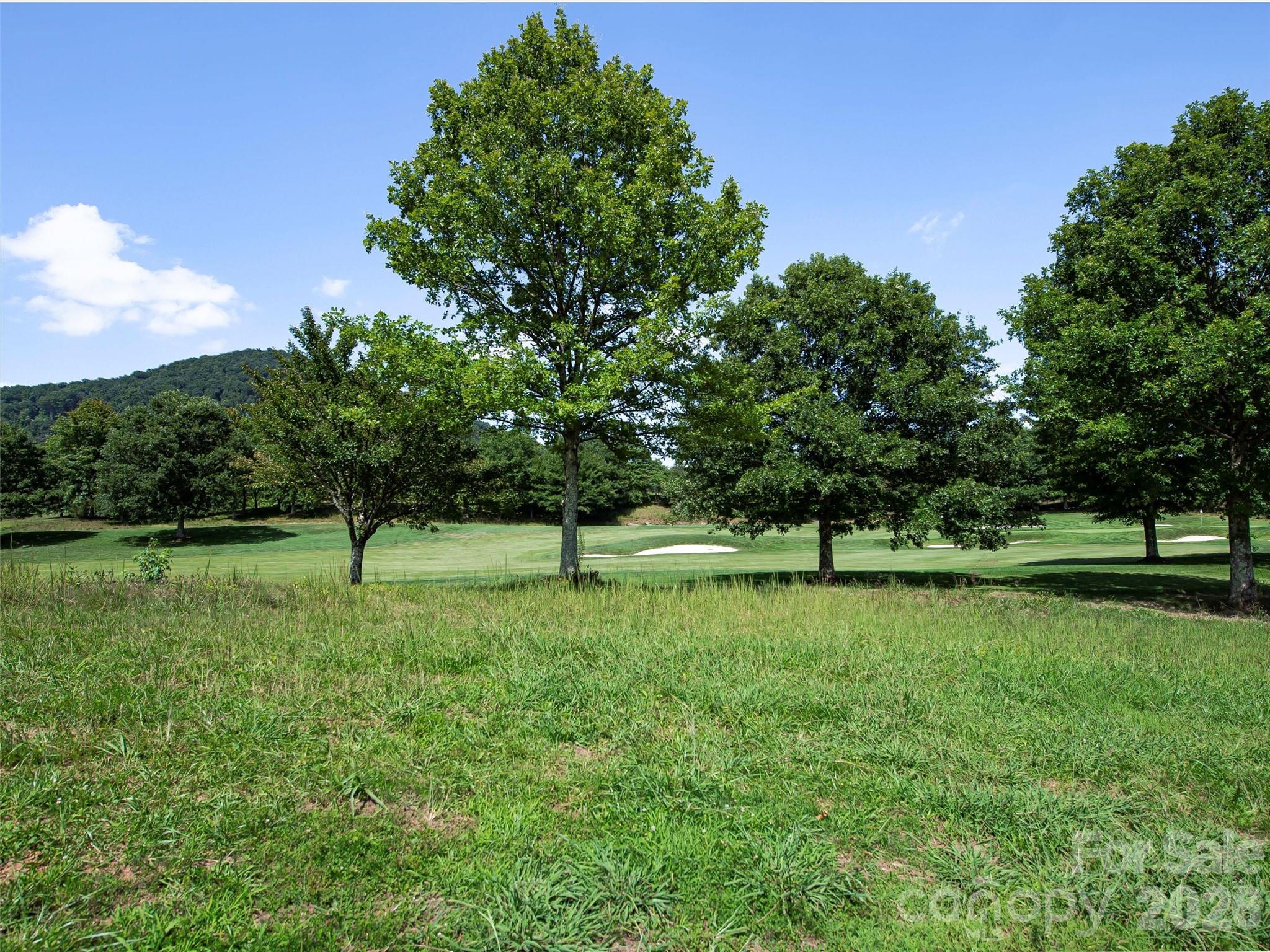 74 Walnut Valley Parkway Arden NC 28704