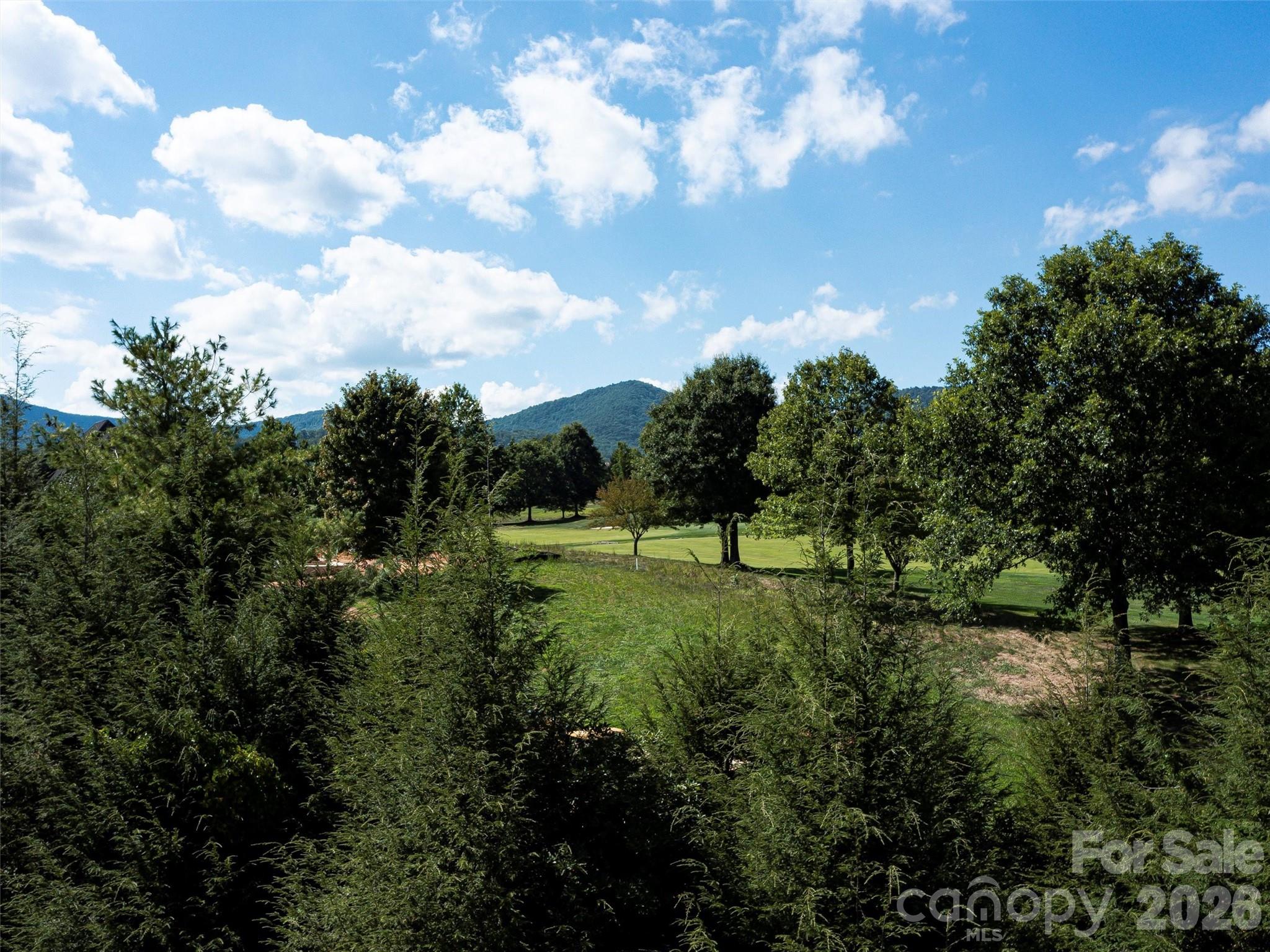 74 Walnut Valley Parkway Arden NC 28704