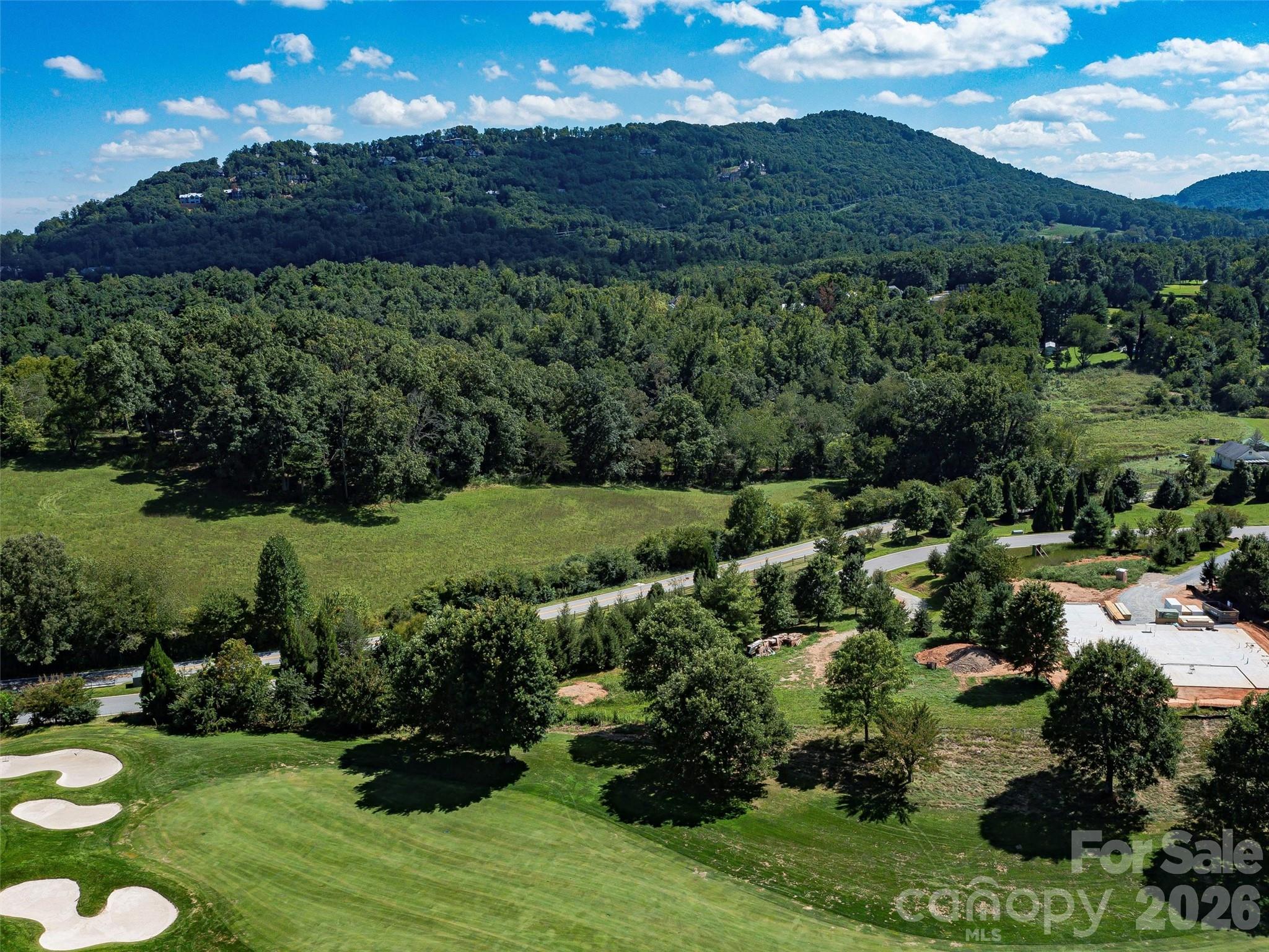 74 Walnut Valley Parkway Arden NC 28704