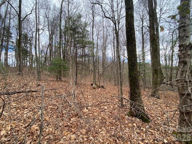 395 W Chestnut Ridges Road Hendersonville NC 28739