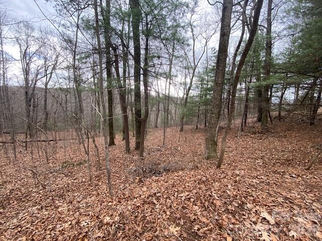 395 W Chestnut Ridges Road Hendersonville NC 28739