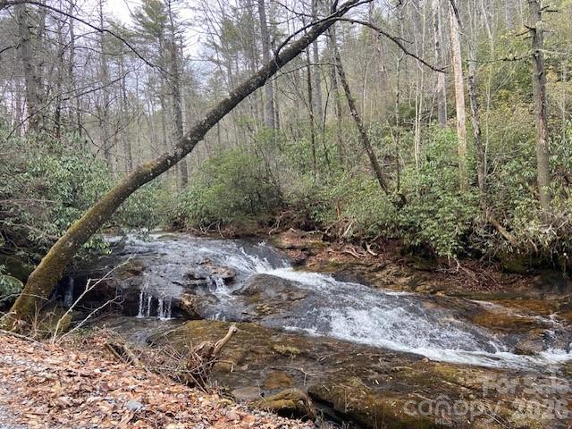 395 W Chestnut Ridges Road Hendersonville NC 28739