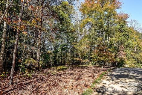 7733 Long Bay Parkway Catawba NC 28609