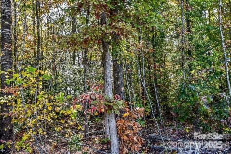 7733 Long Bay Parkway Catawba NC 28609