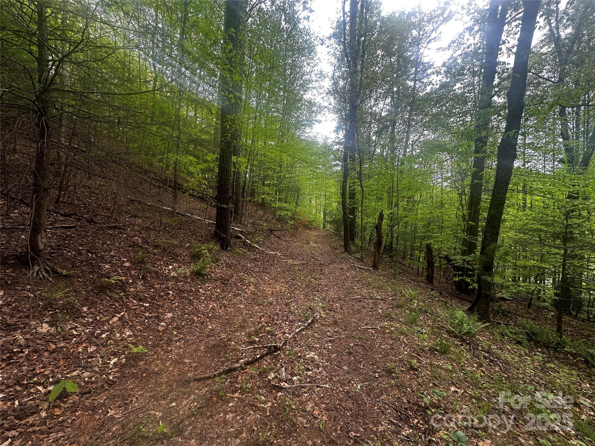 00 Mcpeters Lane Burnsville NC 28714