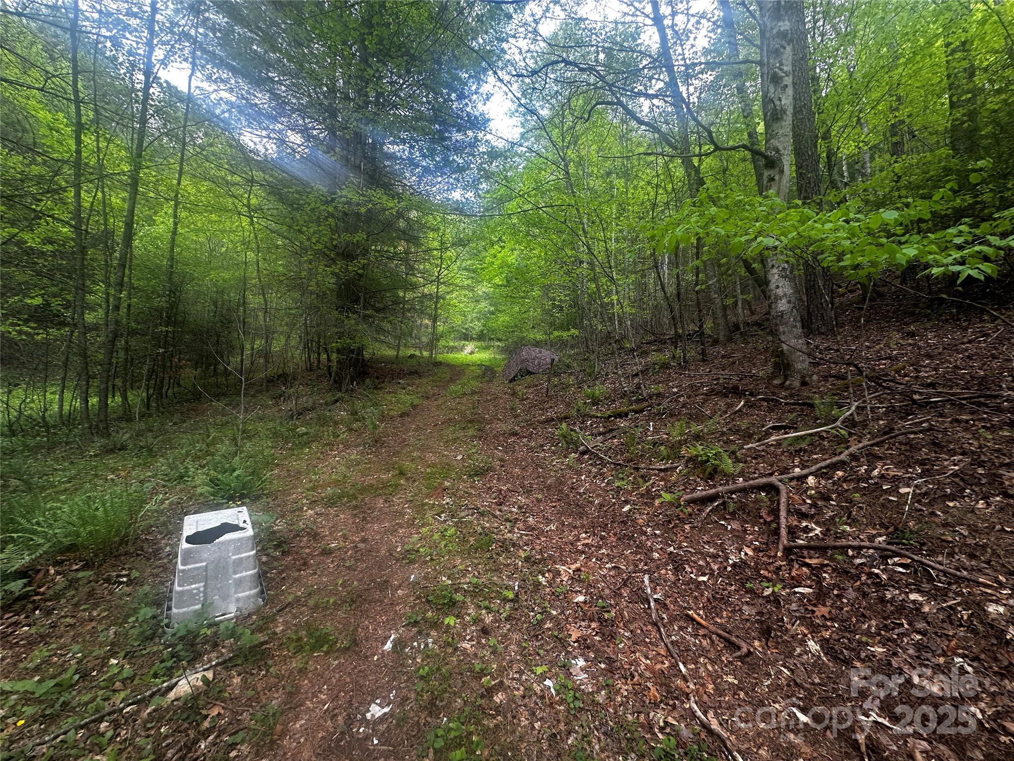 00 Mcpeters Lane Burnsville NC 28714