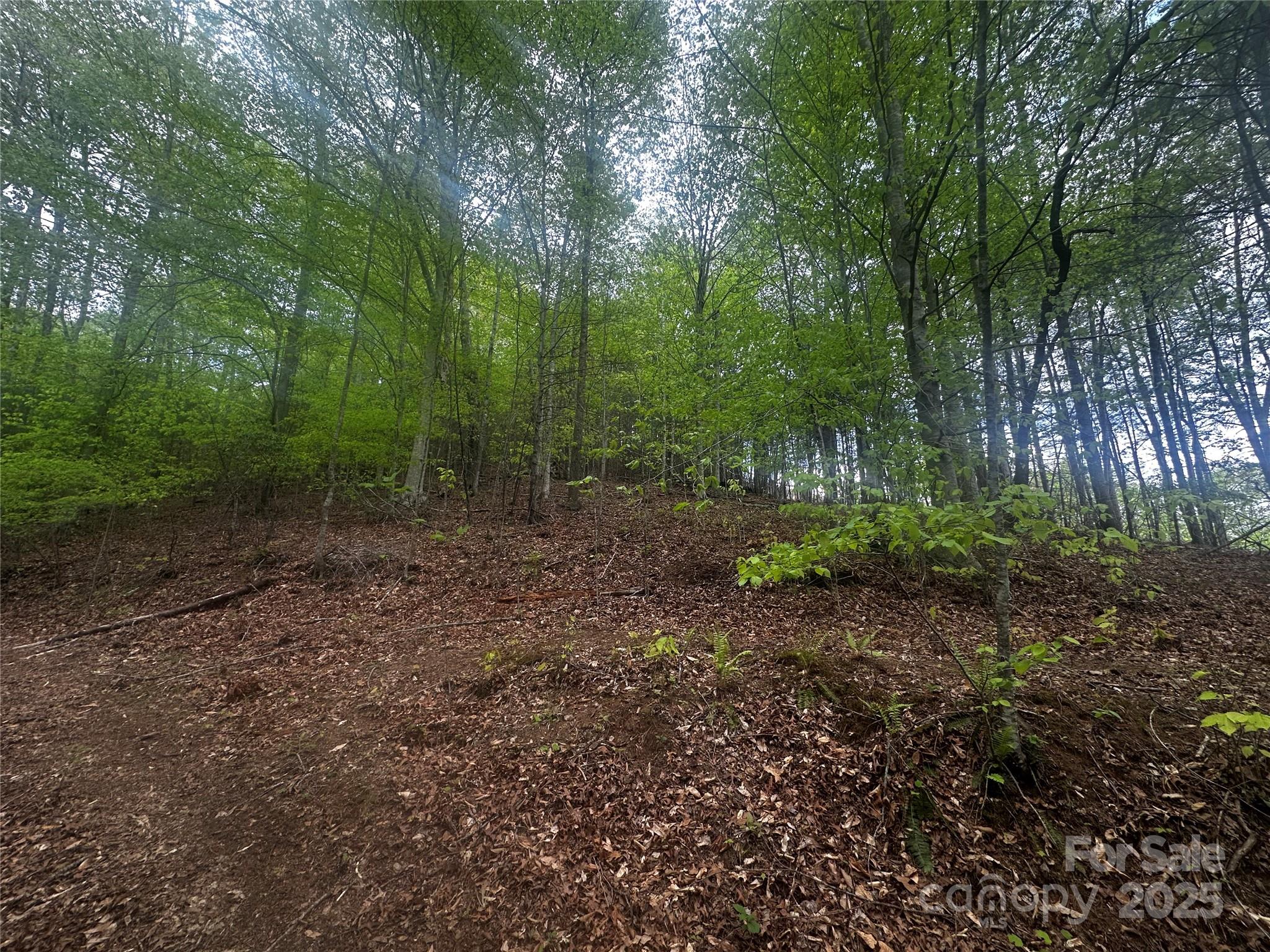 00 Mcpeters Lane Burnsville NC 28714