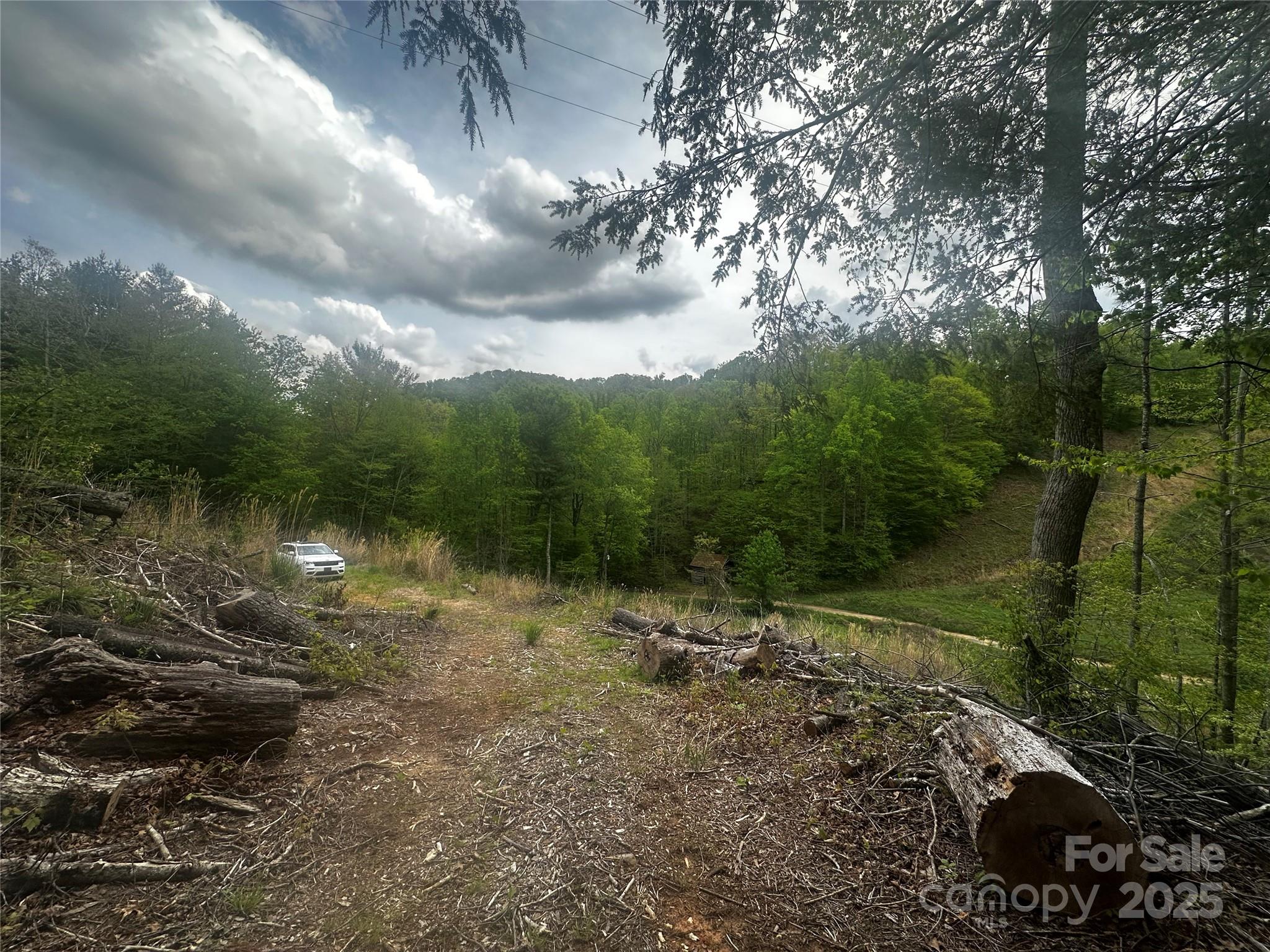 00 Mcpeters Lane Burnsville NC 28714