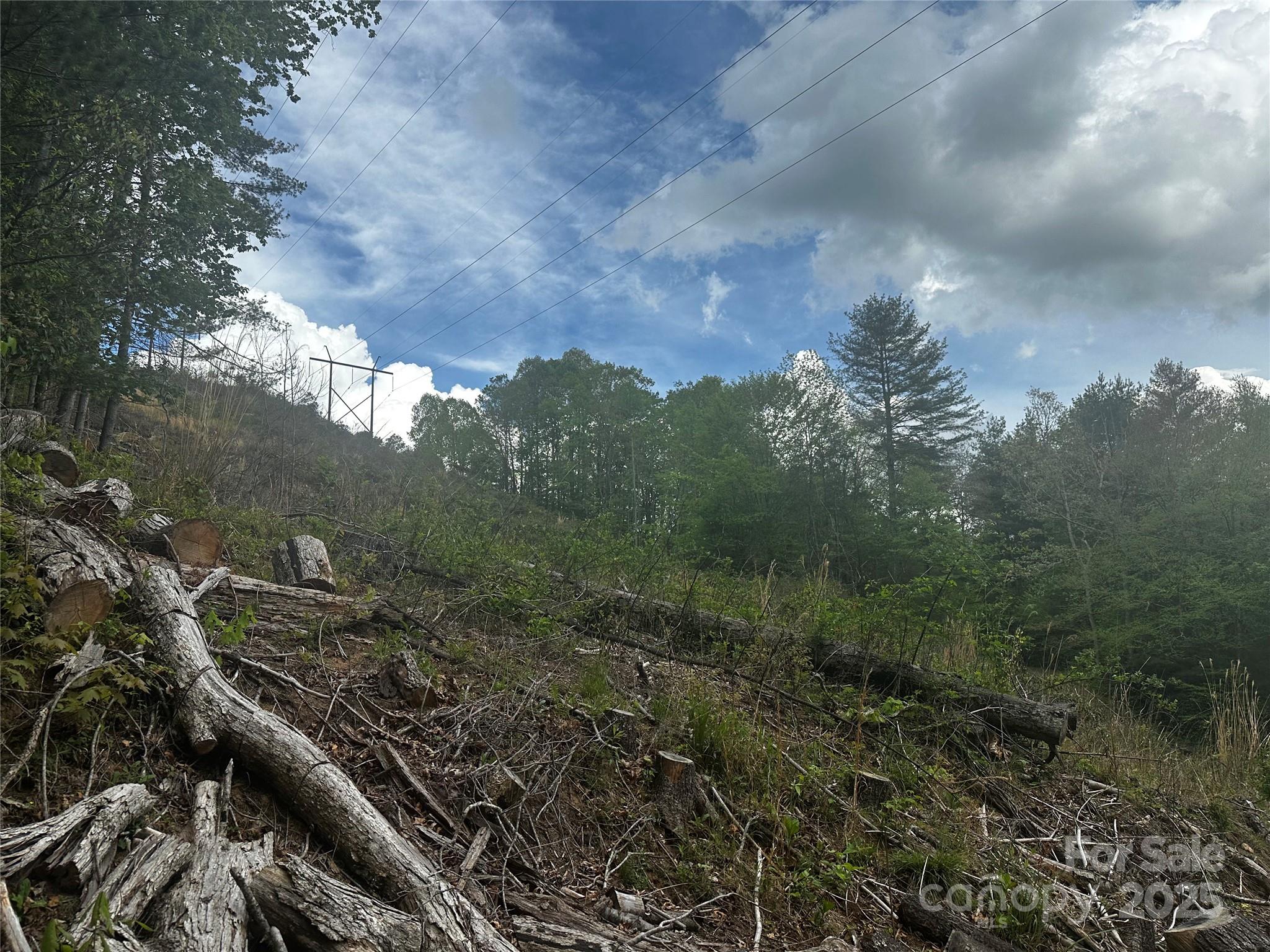 00 Mcpeters Lane Burnsville NC 28714