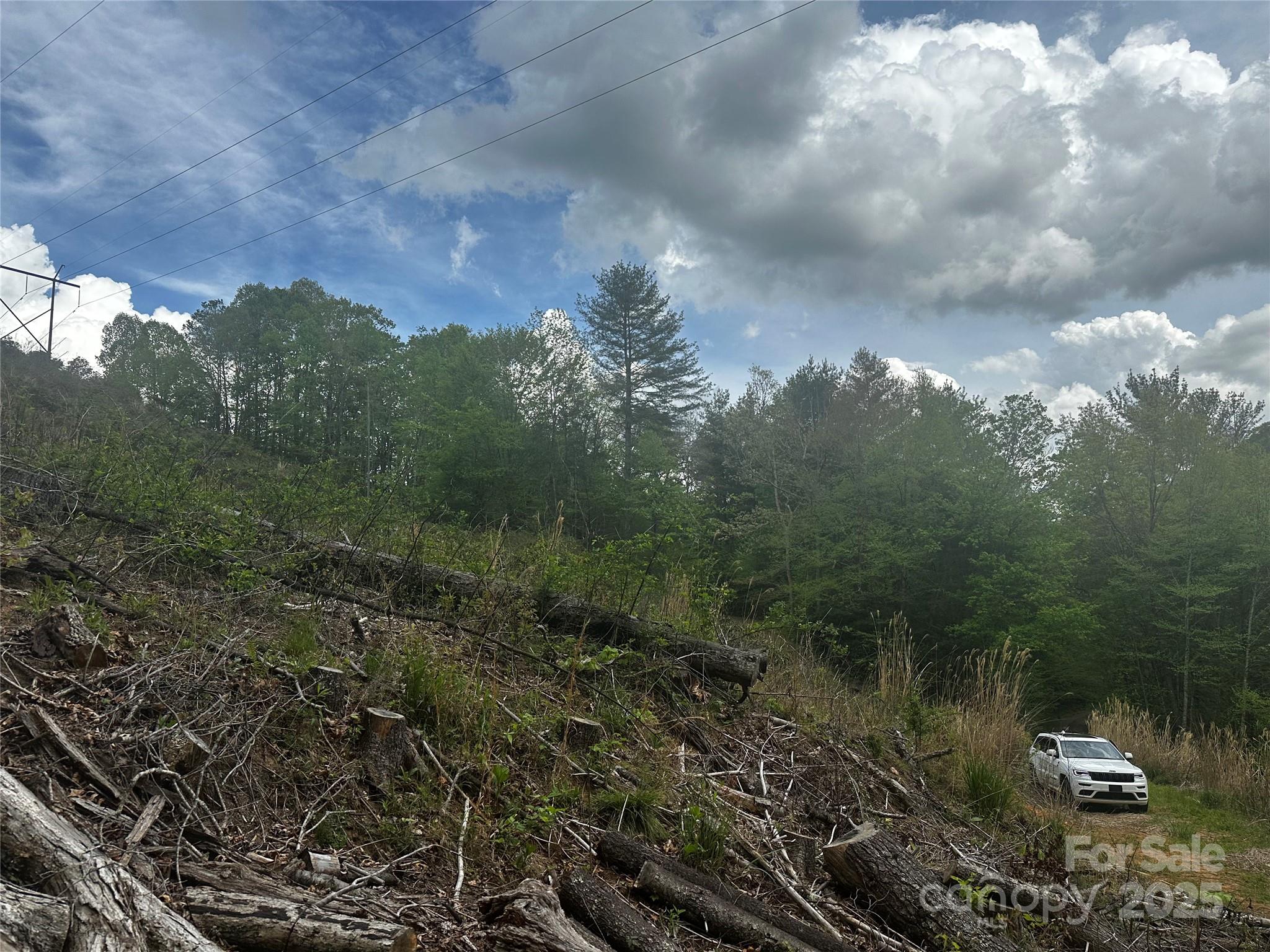 00 Mcpeters Lane Burnsville NC 28714